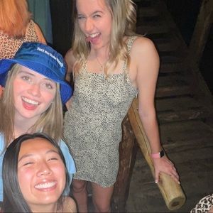 American Eagle animal print dress